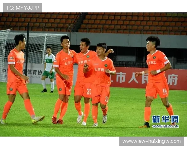 足球巨星风云录纵横绿茵场辉煌与荣誉的史记长卷